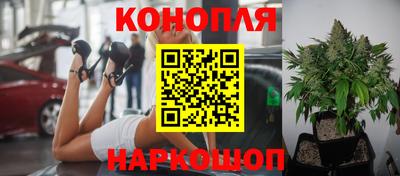 эйфоретик Краснодар