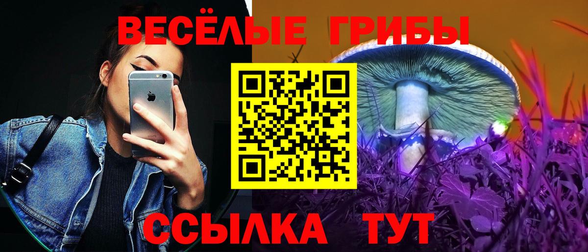 Клинцы  закладка  Псилоцибиновые грибы Magic Shrooms  Вход с VPN  Псилоцибиновые грибы прущие грибы 