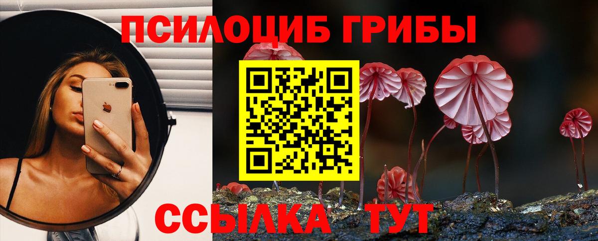 Псилоцибиновые грибы мицелий Клинцы